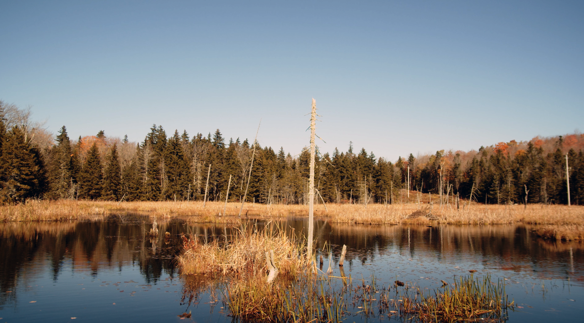 스틱 시즌 관련 이미지